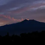 Paradisea Rocco's *